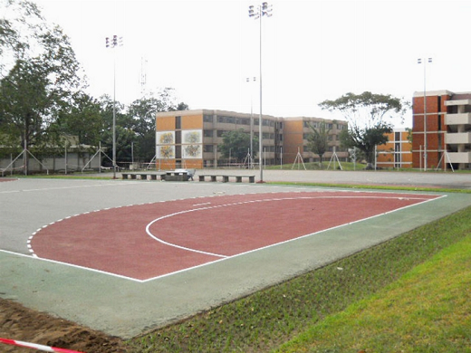 Le stade mythique brésilien